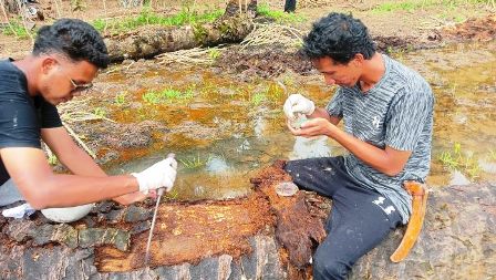 Mahasiswa-KKN-Unila-Terapkan-Pemanfaatan-Limbah-Sawit-Sebagai-Solusi-Alami-untuk-Tingkatkan-Produktivitas-Kebun-di-Desa-Sumbersari