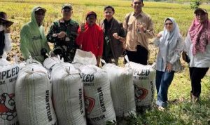 BULOG-Lampung-Perkuat-Ketahanan-Pangan-dan-Stabilitas-Harga-Beras