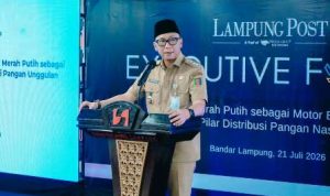 hentikan-perang-merek-umkm-pemprov-lampung-dorong-clustering-produk-desa