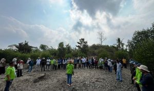 Penanaman 4.000 bibit mangrove di Lampung Selatan