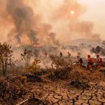 127 titik panas karhutla Lampung