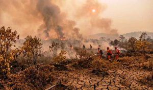 127 titik panas karhutla Lampung