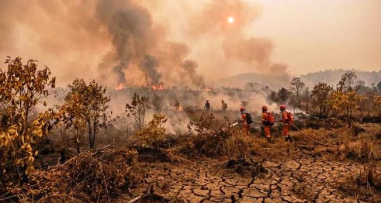 127 titik panas karhutla Lampung