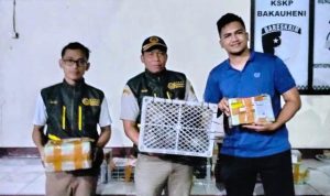 70-kura-kura-diamankan-pelabuhan-bakauheni 70 kura-kura dalam 21 paket diamankan petugas di Pelabuhan Bakauheni