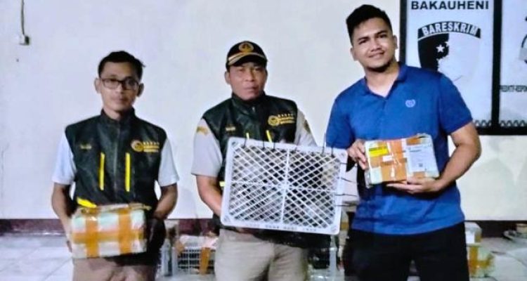 70 kura-kura dalam 21 paket diamankan petugas di Pelabuhan Bakauheni