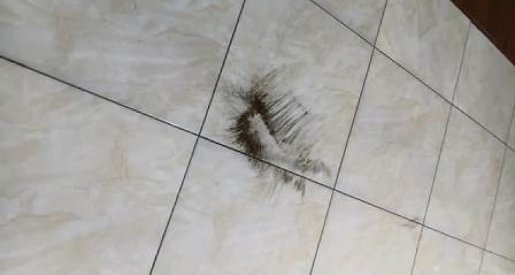 Debu vulkanik Gunung Anak Krakatau Lampung