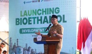singkong-sorgum-lampung-bahan-bakar-bioetanol-pesawaran Pengembangan bioetanol berbasis singkong dan sorgum Lampung di Pesawaran