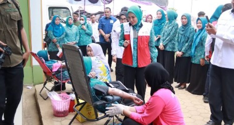 Purnama Wulan Sari Mirza mencanangkan Program Desa TAPIS di Kampung Bakti Negara Way Kanan