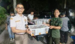 Petugas mengamankan ribuan burung di Bakauheni
