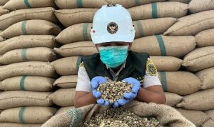 Kegiatan Go Ekspor Barantin membahas peluang ekspor kopi sangrai Lampung ke pasar internasional.