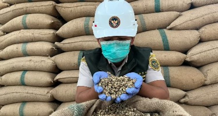 Kegiatan Go Ekspor Barantin membahas peluang ekspor kopi sangrai Lampung ke pasar internasional.