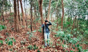 Gunung Langgar atau Bukit Langgakh Lampung Selatan