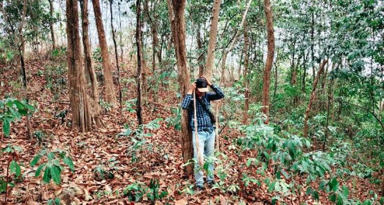 Gunung Langgar atau Bukit Langgakh Lampung Selatan