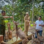 Jihan Nurlela memberikan arahan penguatan pengawasan dan integritas aparat kehutanan Lampung di Tahura Wan Abdul Rachman.