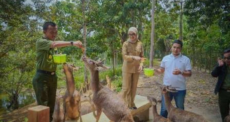 Jihan Nurlela memberikan arahan penguatan pengawasan dan integritas aparat kehutanan Lampung di Tahura Wan Abdul Rachman.
