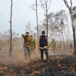Gubernur Lampung Rahmat Mirzani Djausal meninjau penanganan karhutla di Taman Nasional Way Kambas, Lampung Timur.
