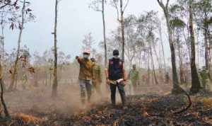 Gubernur Lampung Rahmat Mirzani Djausal meninjau penanganan karhutla di Taman Nasional Way Kambas, Lampung Timur.