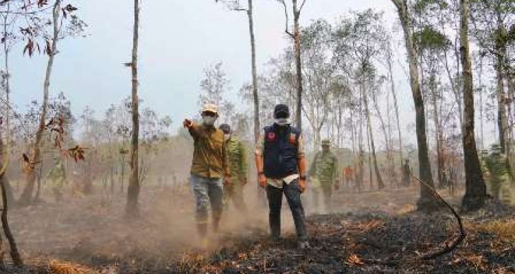 Gubernur Lampung Rahmat Mirzani Djausal meninjau penanganan karhutla di Taman Nasional Way Kambas, Lampung Timur.